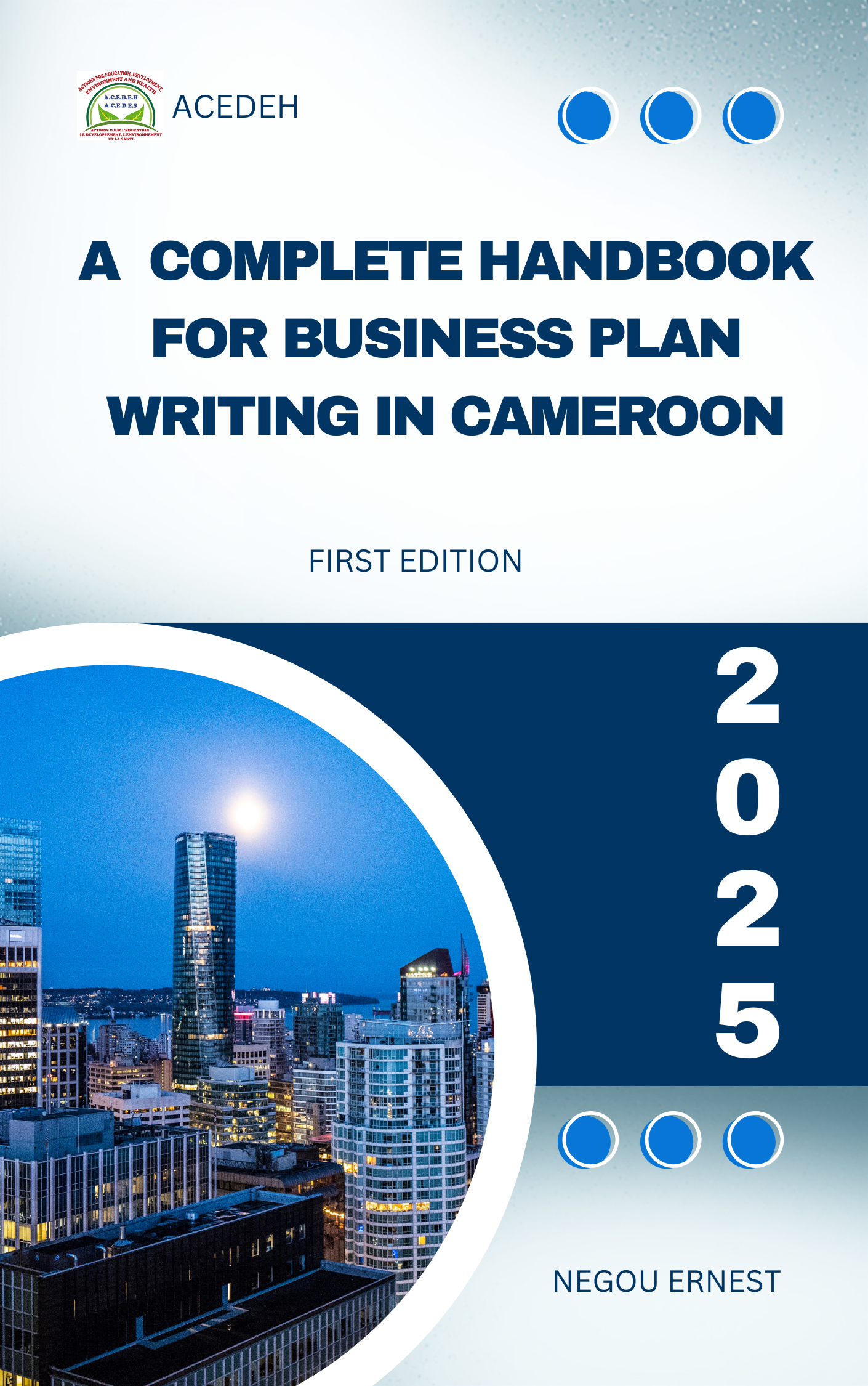 A Complete Handbook for Business Plan Writing by Negou E.