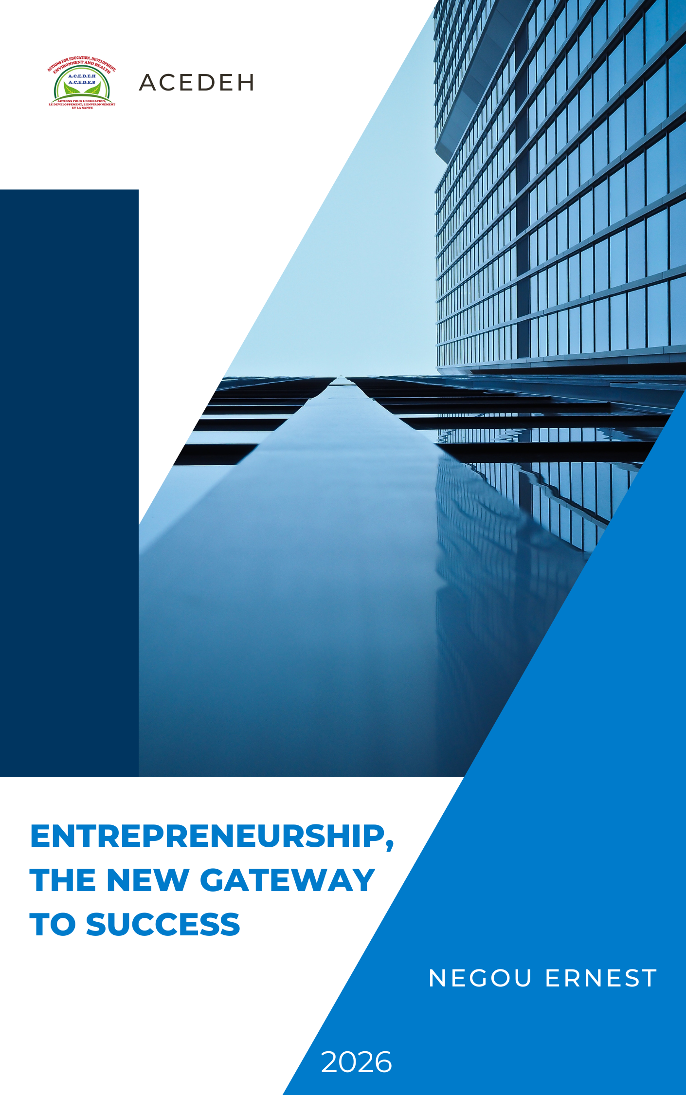 Introduction to Entrepreneurship By Negou E.